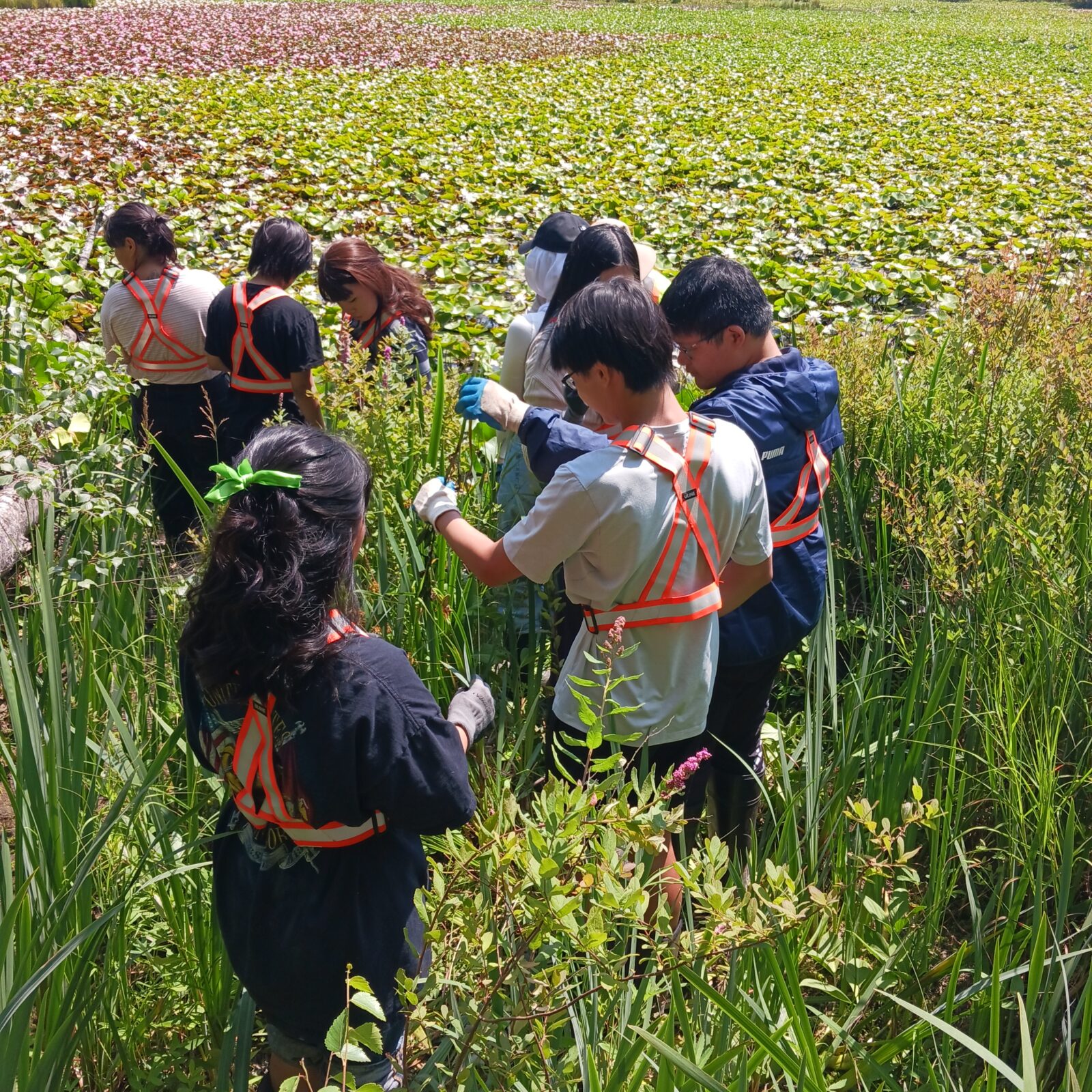 Photo of EYA youth participants gardening in a field.