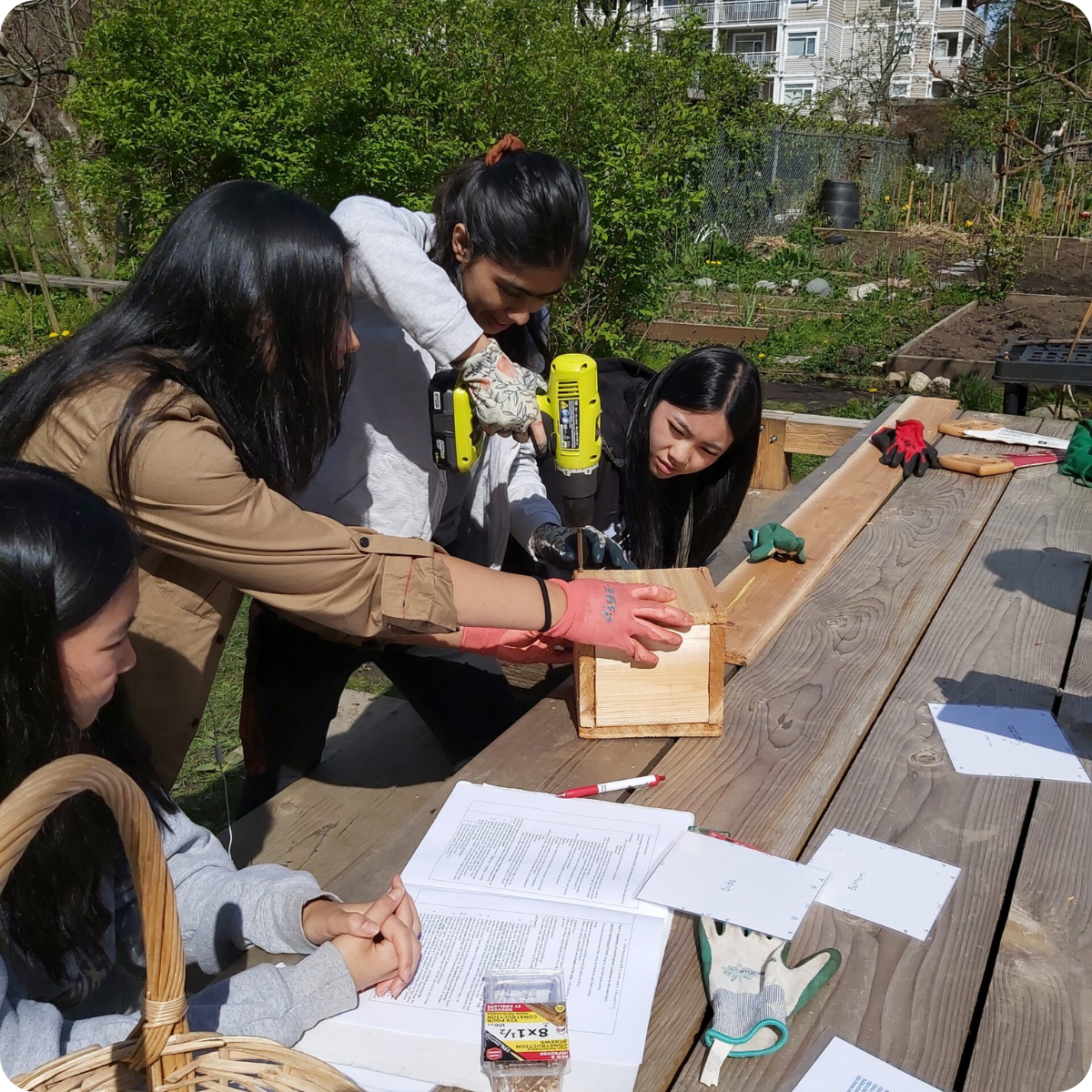 Three youth participants working together to put together a bumblebee habitat box.