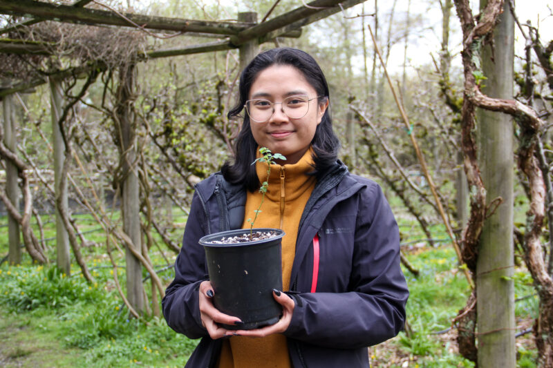 Program Coordinator Trisha holding a potted Nootka Rose (Rosa nutkana) standing in the Strathcona Gardens
