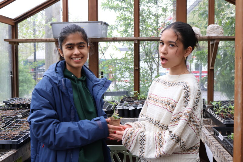 Youth participants Vaibhavi and Arianne in the greenhouse at Strathcona Community Gardens, holding up a potted plant and smiling.