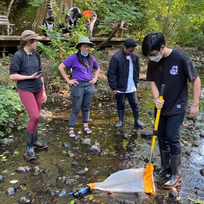 A group of youth are standing at a shallow point in a creek. One of them is wearing a purple EYA shirt. One of them in the foreground is holding a yellow net.