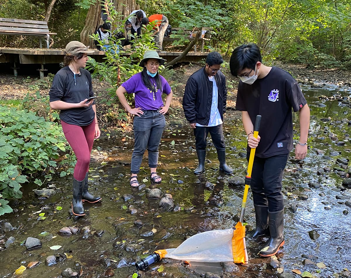 A group of youth are standing at a shallow point in a creek. One of them is wearing a purple EYA shirt. One of them in the foreground is holding a yellow net.