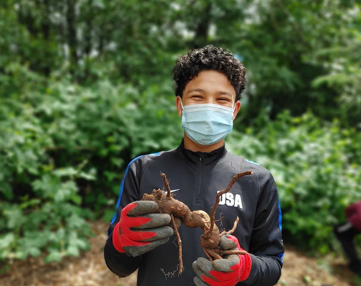 A smiling young man is wearing a mask and gardening gloves. He is holding a root in his hands.